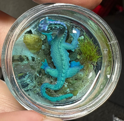 Pocket Cryptids Loch Ness Monster Nessie Miniature Handmade Terrarium
